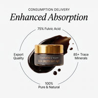 Taj Sultan Himalayan Shilajit — Sun-Dried Resin (20g)
